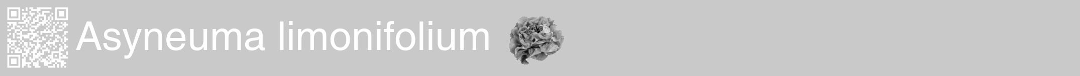 Étiquette de : Asyneuma limonifolium - format a - style blanche54basiquehel avec qrcode et comestibilité simplifiée
