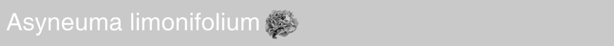 Étiquette de : Asyneuma limonifolium - format a - style blanche54basiquehel avec comestibilité simplifiée