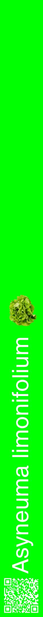 Étiquette de : Asyneuma limonifolium - format a - style blanche16hel avec qrcode et comestibilité simplifiée