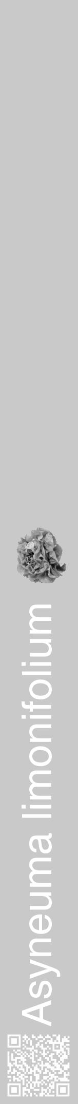 Étiquette de : Asyneuma limonifolium - format a - style blanche54basiquehel avec qrcode et comestibilité simplifiée - position verticale