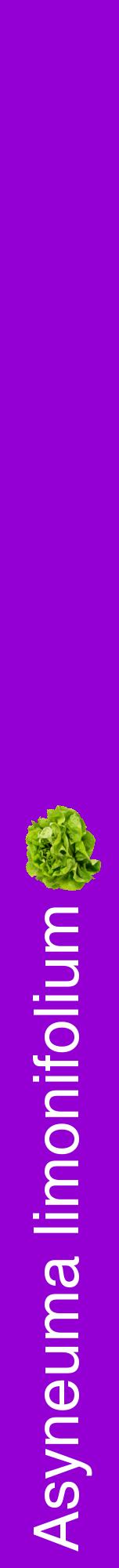 Étiquette de : Asyneuma limonifolium - format a - style blanche48hel avec comestibilité simplifiée