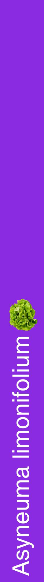 Étiquette de : Asyneuma limonifolium - format a - style blanche49hel avec comestibilité simplifiée