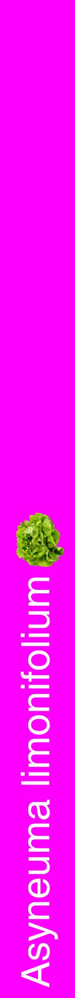 Étiquette de : Asyneuma limonifolium - format a - style blanche51hel avec comestibilité simplifiée