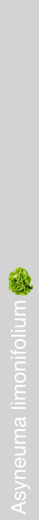 Étiquette de : Asyneuma limonifolium - format a - style blanche56hel avec comestibilité simplifiée
