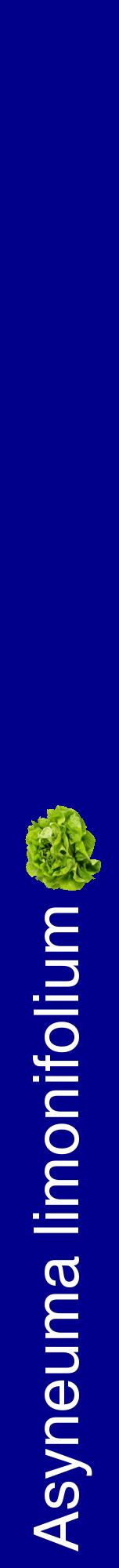 Étiquette de : Asyneuma limonifolium - format a - style blanche7hel avec comestibilité simplifiée