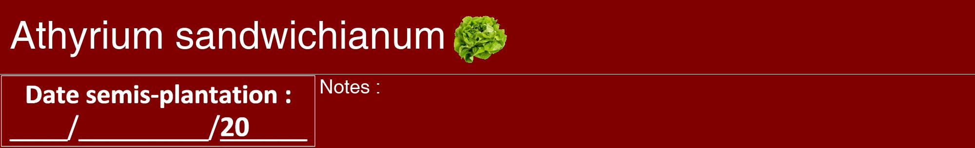 Étiquette de : Athyrium sandwichianum - format a - style blanche29hel avec comestibilité simplifiée
