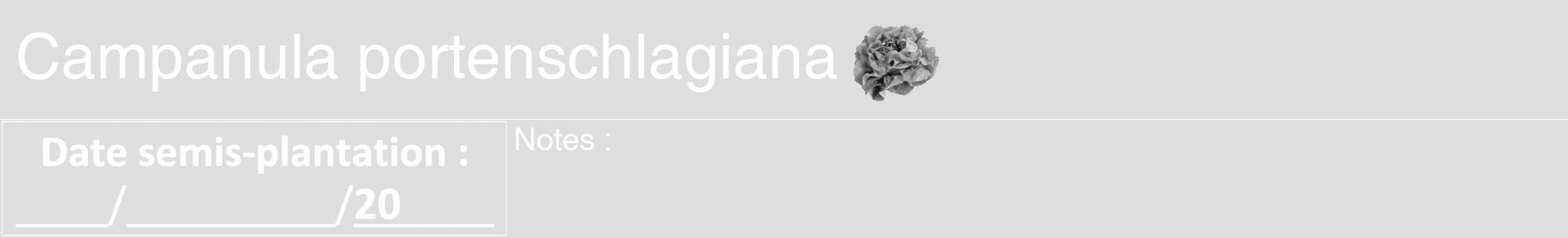 Étiquette de : Campanula portenschlagiana - format a - style blanche20hel avec comestibilité simplifiée