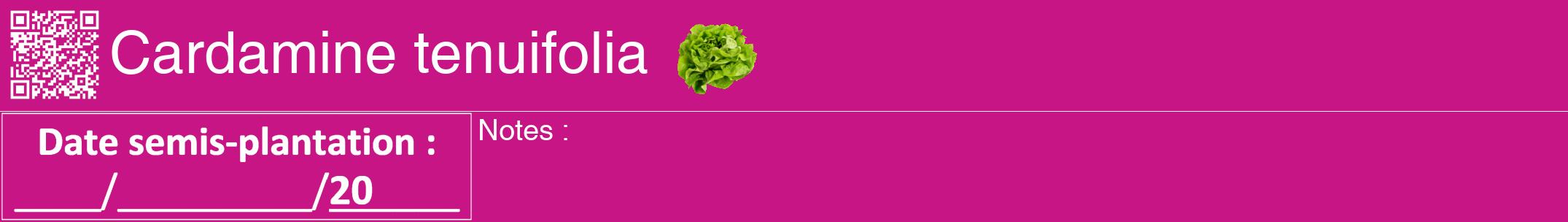 Étiquette de : Cardamine tenuifolia - format a - style blanche45hel avec qrcode et comestibilité simplifiée