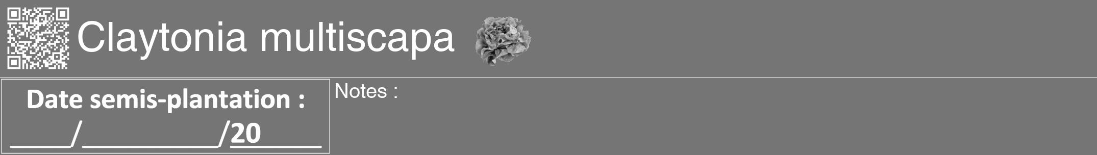 Étiquette de : Claytonia multiscapa - format a - style blanche5hel avec qrcode et comestibilité simplifiée