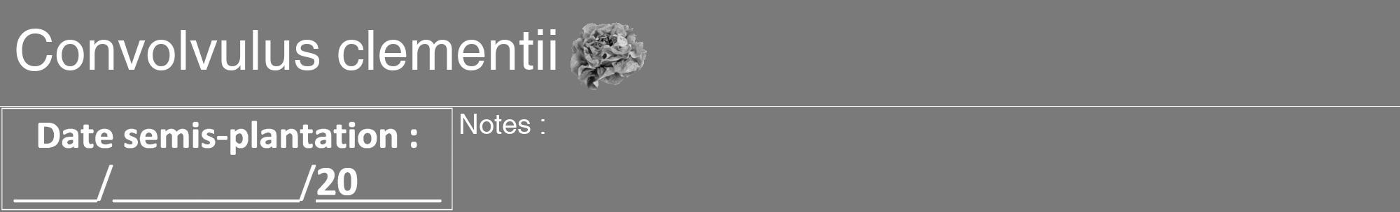Étiquette de : Convolvulus clementii - format a - style blanche3hel avec comestibilité simplifiée