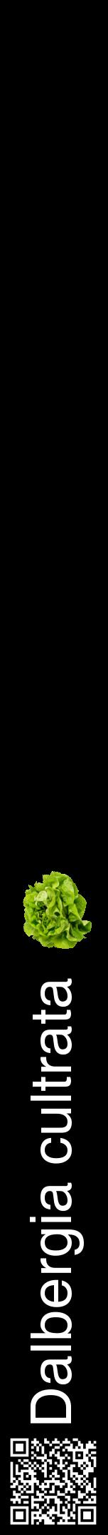 Étiquette de : Dalbergia cultrata - format a - style blanche59hel avec qrcode et comestibilité simplifiée