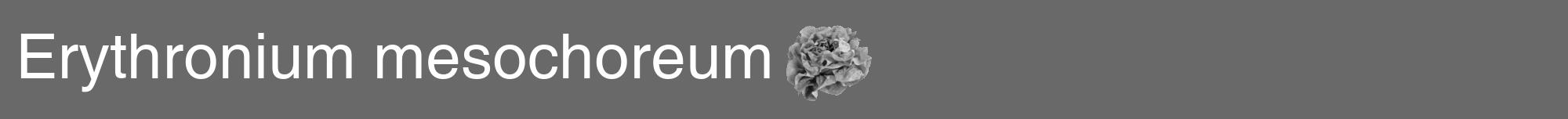 Étiquette de : Erythronium mesochoreum - format a - style blanche11hel avec comestibilité simplifiée
