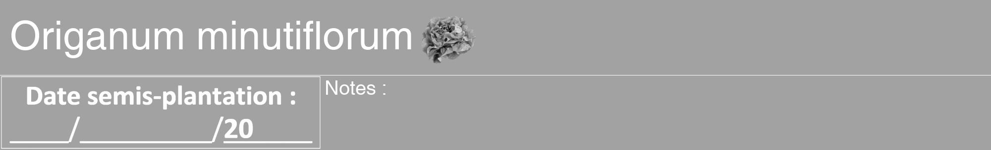 Étiquette de : Origanum minutiflorum - format a - style blanche38hel avec comestibilité simplifiée