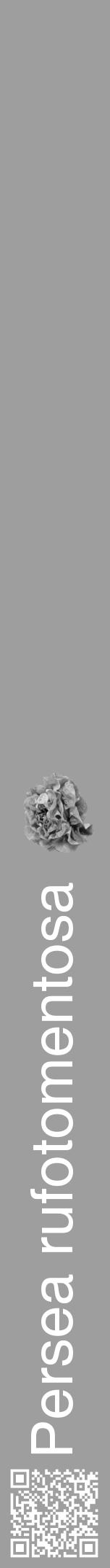 Étiquette de : Persea rufotomentosa - format a - style blanche42hel avec qrcode et comestibilité simplifiée - position verticale