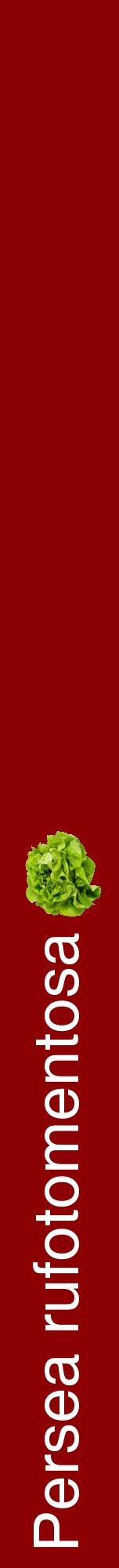 Étiquette de : Persea rufotomentosa - format a - style blanche34hel avec comestibilité simplifiée