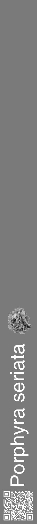 Étiquette de : Porphyra seriata - format a - style blanche3hel avec qrcode et comestibilité simplifiée - position verticale