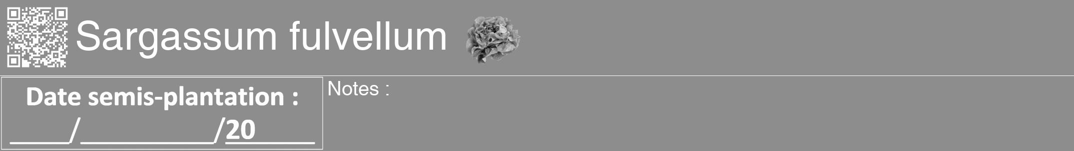 Étiquette de : Sargassum fulvellum - format a - style blanche2hel avec qrcode et comestibilité simplifiée
