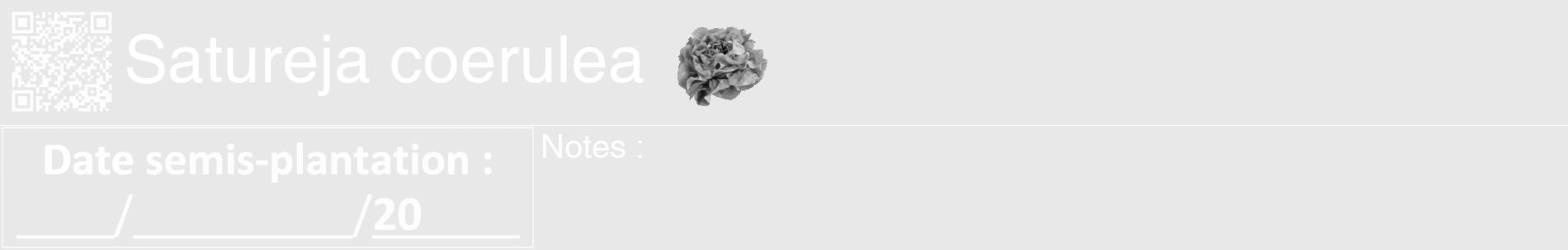 Étiquette de : Satureja coerulea - format a - style blanche55basiquehel avec qrcode et comestibilité simplifiée