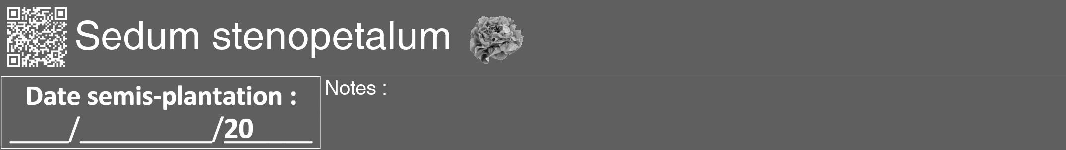 Étiquette de : Sedum stenopetalum - format a - style blanche10hel avec qrcode et comestibilité simplifiée
