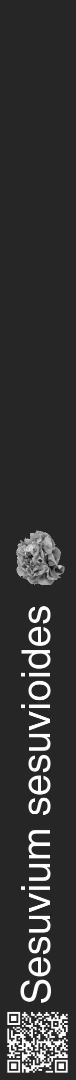 Étiquette de : Sesuvium sesuvioides - format a - style blanche29basiquehel avec qrcode et comestibilité simplifiée - position verticale