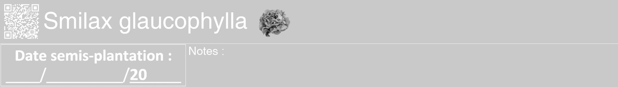 Étiquette de : Smilax glaucophylla - format a - style blanche54hel avec qrcode et comestibilité simplifiée