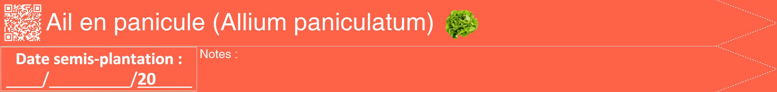 Étiquette de : Allium paniculatum - format b - style blanche25hel avec qrcode et comestibilité simplifiée