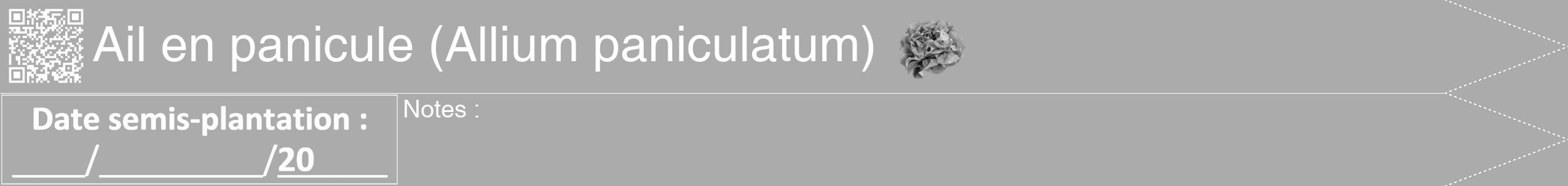 Étiquette de : Allium paniculatum - format b - style blanche37hel avec qrcode et comestibilité simplifiée