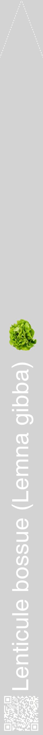 Étiquette de : Lemna gibba - format b - style blanche56hel avec qrcode et comestibilité simplifiée