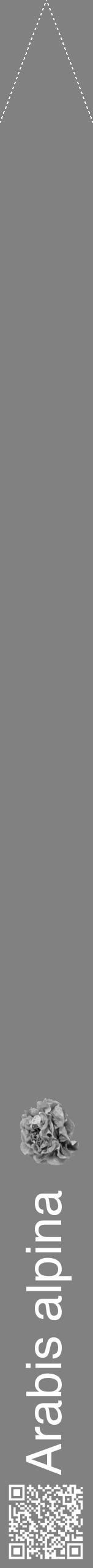 Étiquette de : Arabis alpina - format b - style blanche50hel avec qrcode et comestibilité simplifiée - position verticale