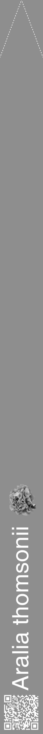 Étiquette de : Aralia thomsonii - format b - style blanche25hel avec qrcode et comestibilité simplifiée - position verticale