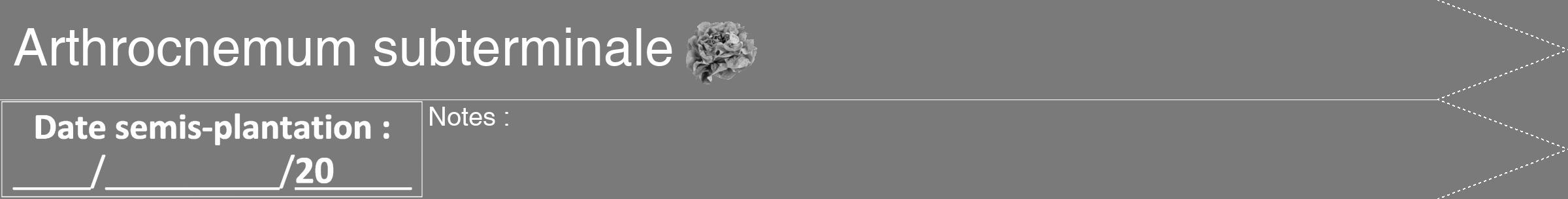 Étiquette de : Arthrocnemum subterminale - format b - style blanche3simplehel avec comestibilité simplifiée