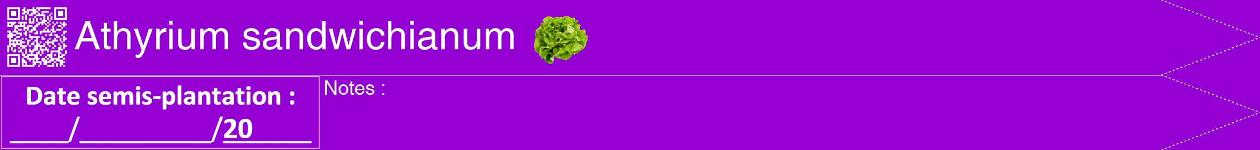 Étiquette de : Athyrium sandwichianum - format b - style blanche48hel avec qrcode et comestibilité simplifiée
