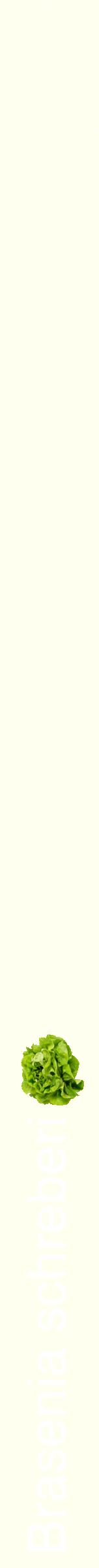 Étiquette de : Brasenia schreberi - format b - style blanche19hel avec comestibilité simplifiée