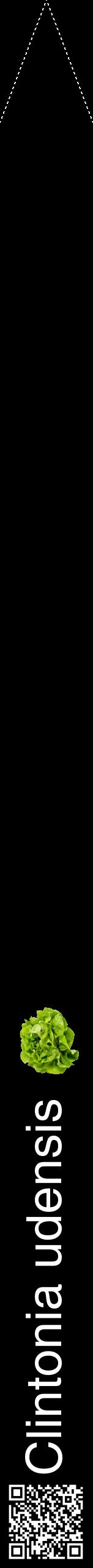Étiquette de : Clintonia udensis - format b - style blanche59hel avec qrcode et comestibilité simplifiée