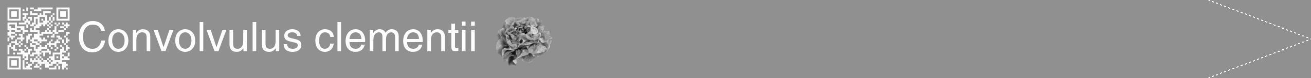 Étiquette de : Convolvulus clementii - format b - style blanche4hel avec qrcode et comestibilité simplifiée