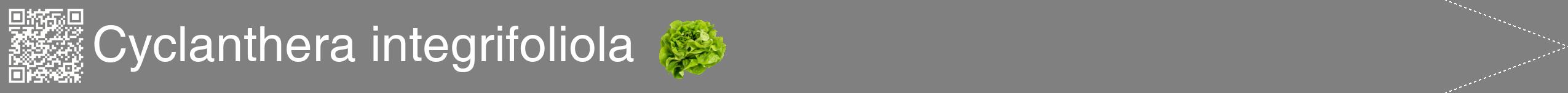 Étiquette de : Cyclanthera integrifoliola - format b - style blanche57simplehel avec qrcode et comestibilité simplifiée