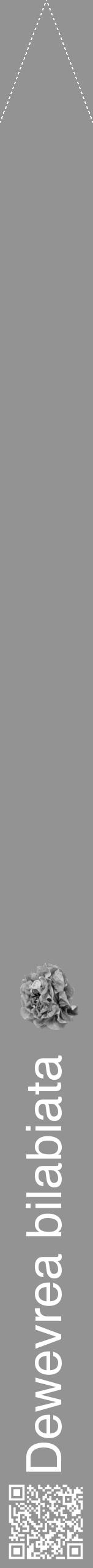 Étiquette de : Dewevrea bilabiata - format b - style blanche44hel avec qrcode et comestibilité simplifiée - position verticale