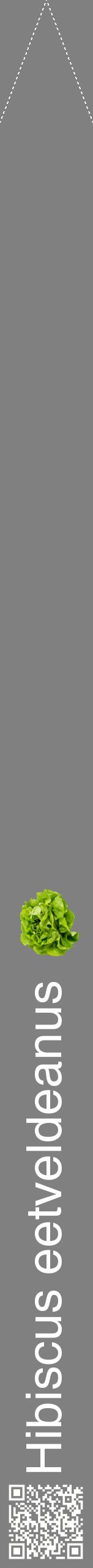 Étiquette de : Hibiscus eetveldeanus - format b - style blanche57hel avec qrcode et comestibilité simplifiée