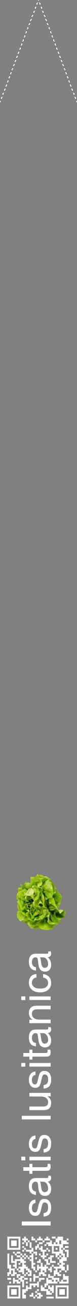 Étiquette de : Isatis lusitanica - format b - style blanche57hel avec qrcode et comestibilité simplifiée