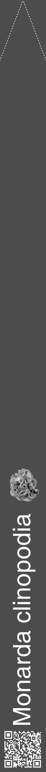 Étiquette de : Monarda clinopodia - format b - style blanche27hel avec qrcode et comestibilité simplifiée - position verticale