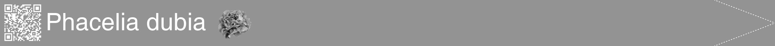 Étiquette de : Phacelia dubia - format b - style blanche44hel avec qrcode et comestibilité simplifiée