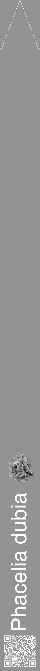 Étiquette de : Phacelia dubia - format b - style blanche44hel avec qrcode et comestibilité simplifiée - position verticale