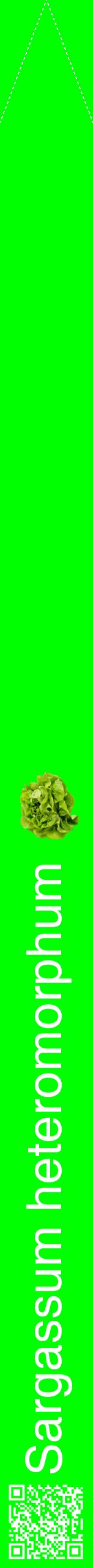 Étiquette de : Sargassum heteromorphum - format b - style blanche16hel avec qrcode et comestibilité simplifiée
