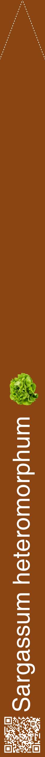Étiquette de : Sargassum heteromorphum - format b - style blanche30hel avec qrcode et comestibilité simplifiée
