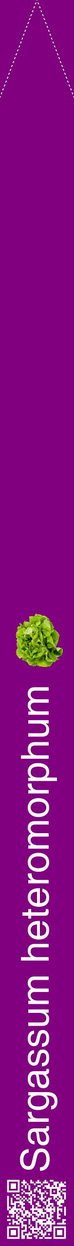 Étiquette de : Sargassum heteromorphum - format b - style blanche46hel avec qrcode et comestibilité simplifiée