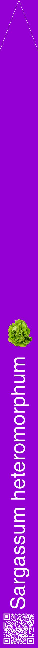 Étiquette de : Sargassum heteromorphum - format b - style blanche48hel avec qrcode et comestibilité simplifiée