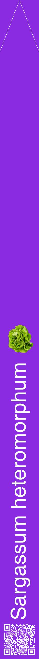 Étiquette de : Sargassum heteromorphum - format b - style blanche49hel avec qrcode et comestibilité simplifiée