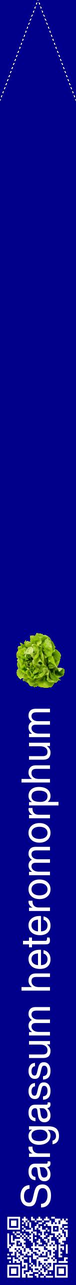 Étiquette de : Sargassum heteromorphum - format b - style blanche7hel avec qrcode et comestibilité simplifiée