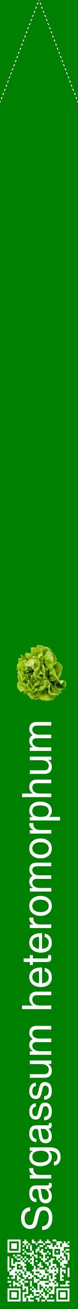 Étiquette de : Sargassum heteromorphum - format b - style blanche9hel avec qrcode et comestibilité simplifiée