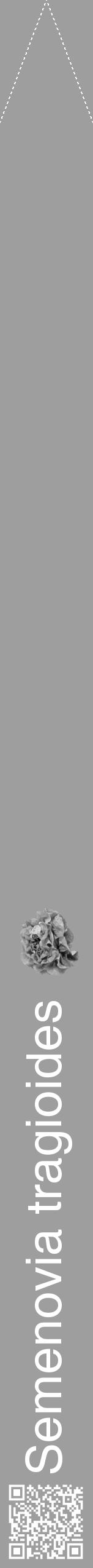 Étiquette de : Semenovia tragioides - format b - style blanche42simplehel avec qrcode et comestibilité simplifiée - position verticale
